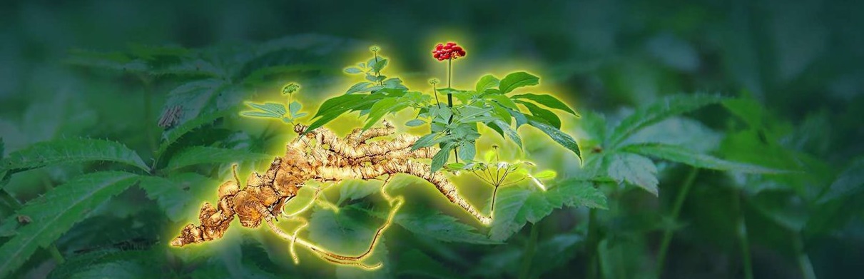 Slide 1 1 1400x519 (1)teee